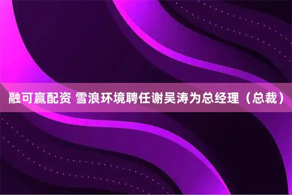 融可赢配资 雪浪环境聘任谢吴涛为总经理（总裁）