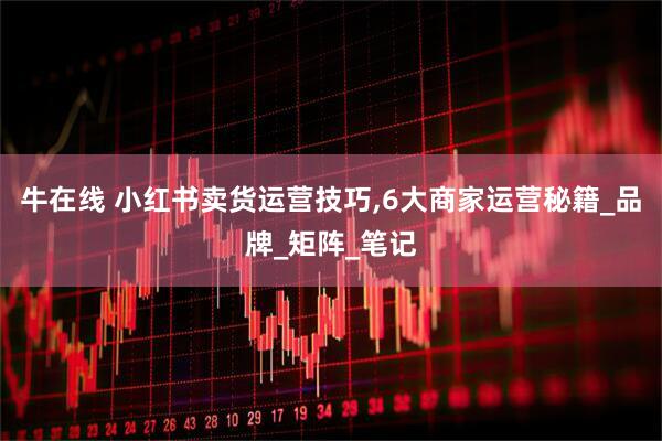 牛在线 小红书卖货运营技巧,6大商家运营秘籍_品牌_矩阵_笔记
