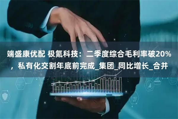 端盛康优配 极氪科技：二季度综合毛利率破20%，私有化交割年底前完成_集团_同比增长_合并
