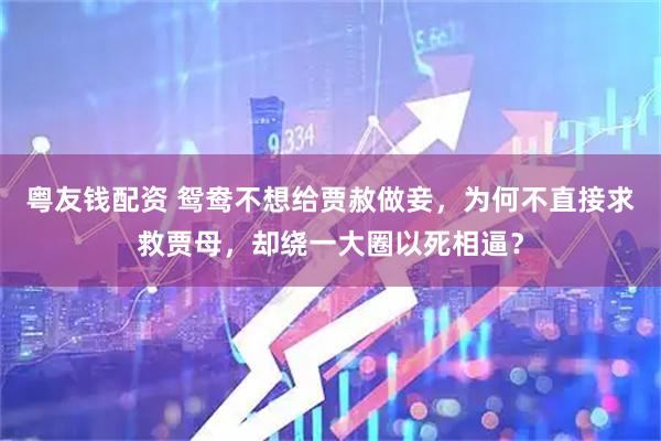 粤友钱配资 鸳鸯不想给贾赦做妾，为何不直接求救贾母，却绕一大圈以死相逼？