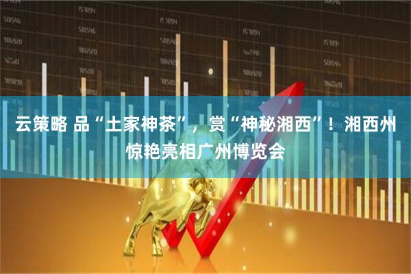 云策略 品“土家神茶”，赏“神秘湘西”！湘西州惊艳亮相广州博览会